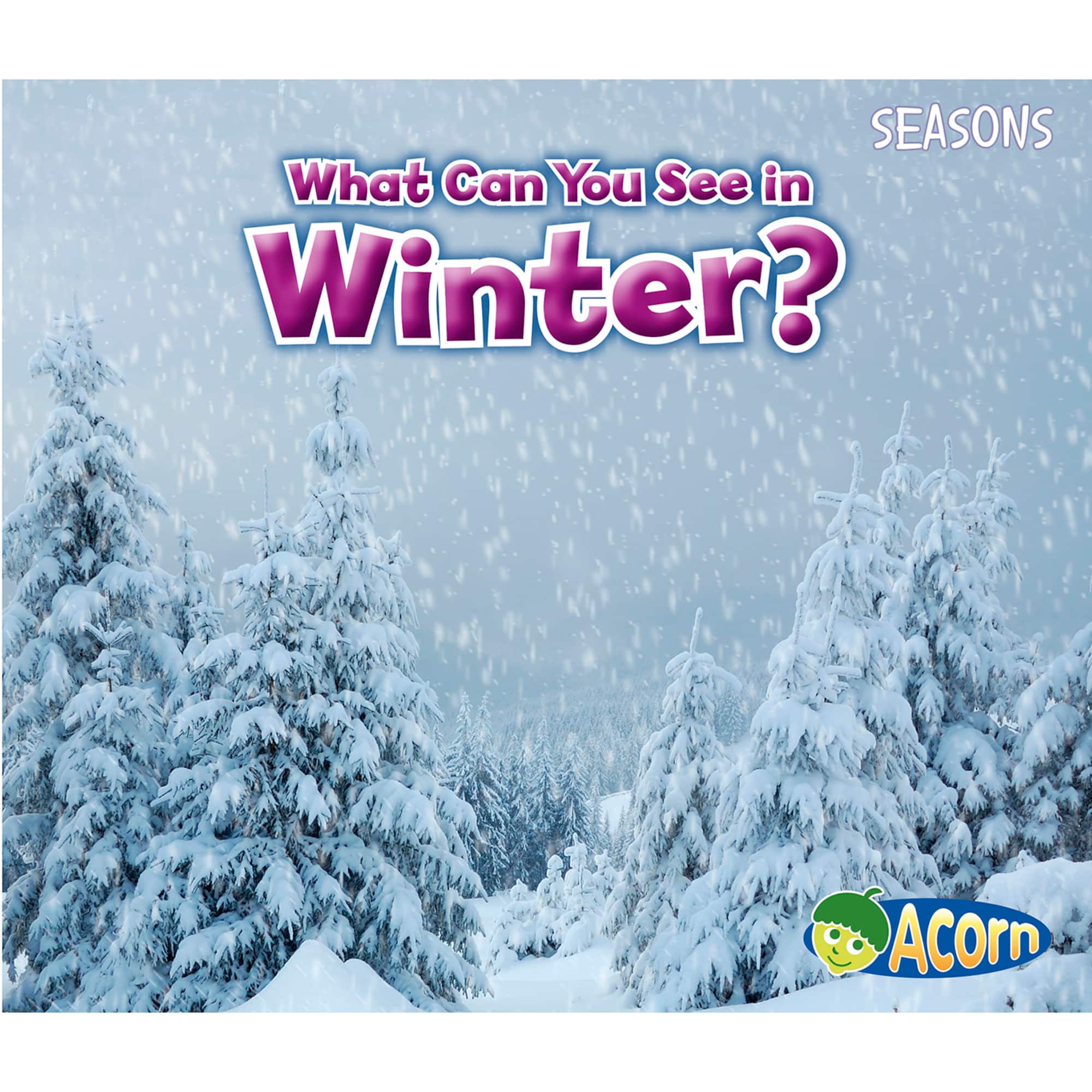 Capstone Press Seasons 4 Book Set